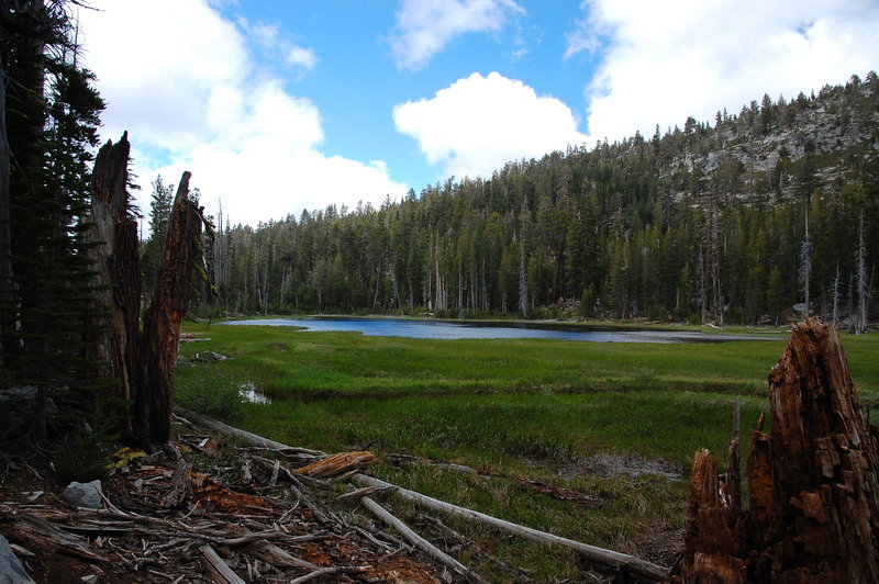 A glimpse of shadow lake from the Meek's Bay Trail.