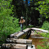 A log bridge helps keep hiker's feet dry as they cross Meeks Creek.