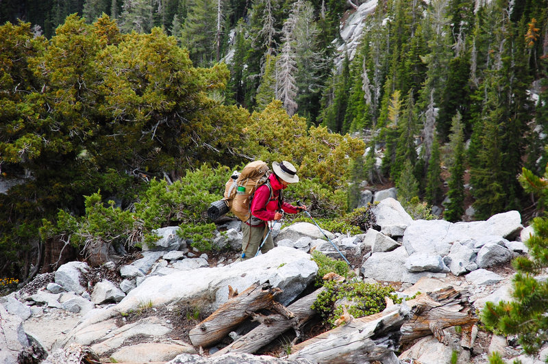 Lots of rock to navigate through on Phipps Pass.