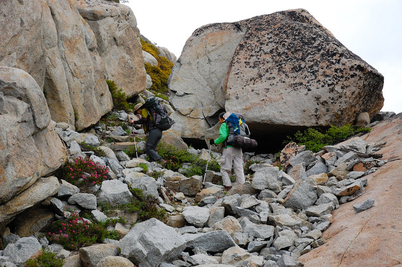 Heading up to Phipps Pass on the Meek's Bay Trail.