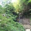 Great waterfall mid-trail. Water level is currently low.