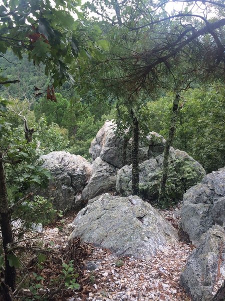 Balanced Rock Overlook. Taken from Balanced Rock spur, just off of Sunset Trail.