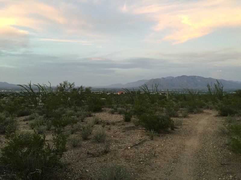 Smoothest trail in the park.