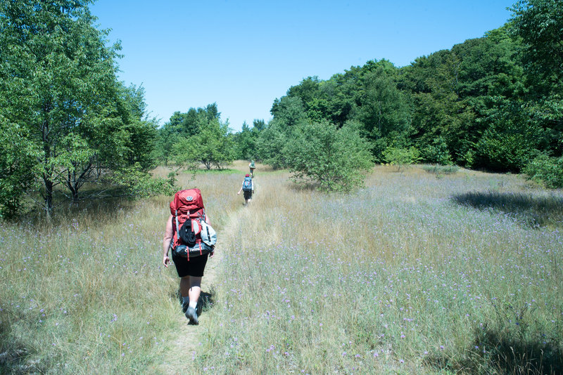 Hiking across an abandoned homestead.