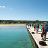 Walking from the Manitou Island Transit ferry onto North Manitou Island.