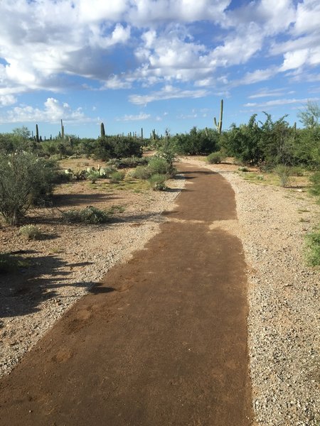 Mica View Trail got a makeover :) Hard pack trail without toe snubbers!