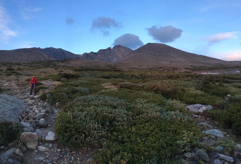 Chasm Lake Trail- view of Long's Peak in the distance at sunrise, just above tree line