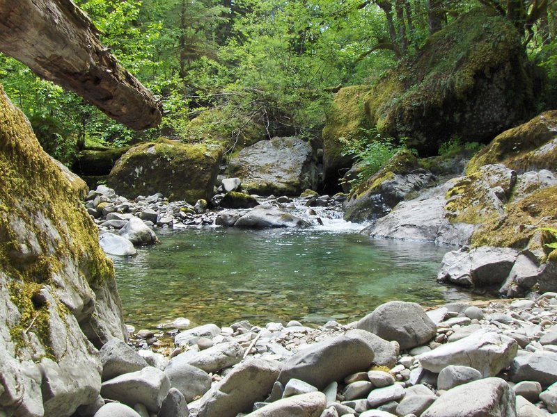 Cheeny Creek provides excellent salmon habitat along Bonanza Trail.  Photo by USFS.