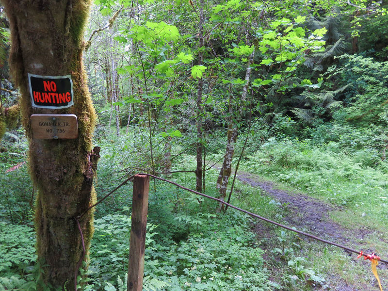 Bonanza Trailhead Area