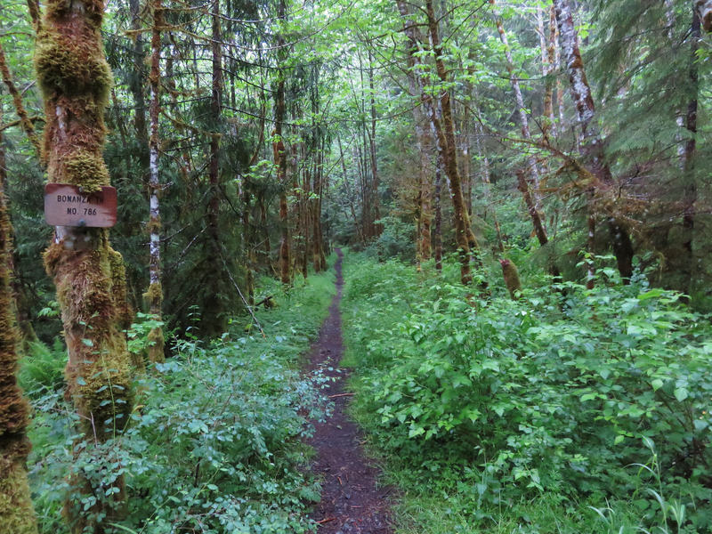 Starting down the Bonanza Trail.  Photo by wanderingyuncks.