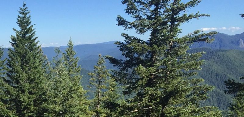 View on Bonanza Trail.  Photo by William Reynolds.