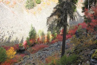 Mud Creek Canyon in fall.  Photo by Matt Reeder.