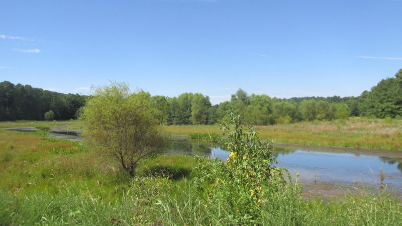 A landscape shot at the trail's midway point.