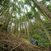 A series of steep steps usher visitors onto a tough, but magical, trail.