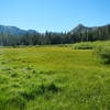 Bryan Meadow as seen in summer.