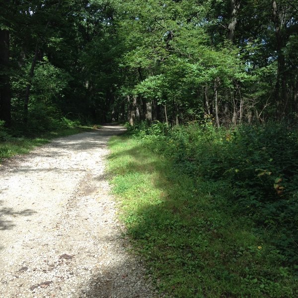 The trail passes though a high quality oak savanna. Recent eco-restoration activity = good sight lines and lots of flowers.