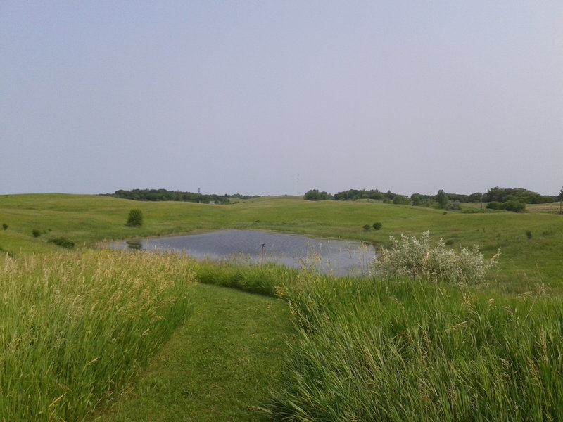 Looking to the north out over the rolling prairie and the pothole wetland.