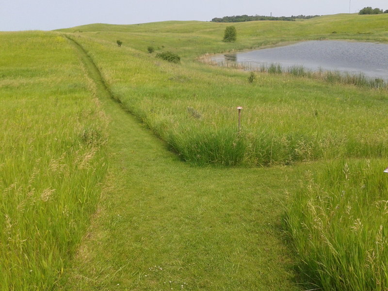 The mowed trails are well maintained and there are abundant views.