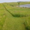 The mowed trails are well maintained and there are abundant views.