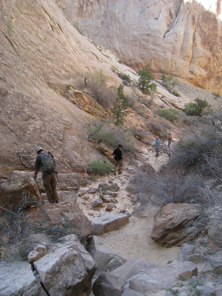 Navigating a section of rocks in Surprise Canyon.