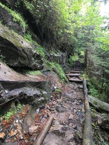 Trillium Gap Trail.