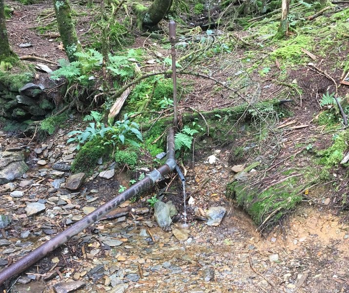 Trillium Gap Trail: Water source approaching Mt Le Conte Lodge.