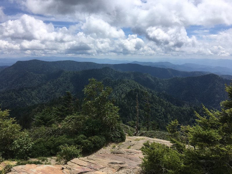 View from Myrtle Point.