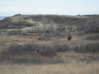 The park's diverse landscape includes prairie, shrublands, and forested ravines.
