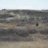 The park's diverse landscape includes prairie, shrublands, and forested ravines.