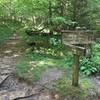 Trillium Gap: Intersection of Trillium Gap Trail and Brushy Mountain Trail. Mt LeConte 3.6 miles/Roaring Fork Rd 2.8 miles