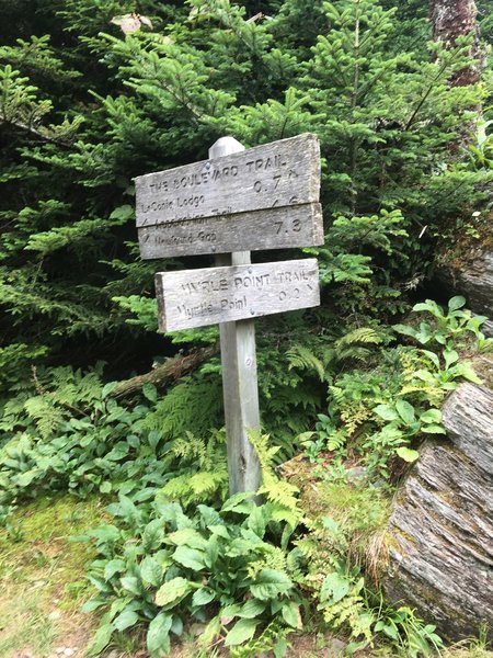 Trail Junction: Boulevard and Myrtle Point Trails.