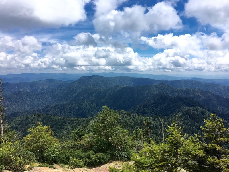 View from Myrtle Point.