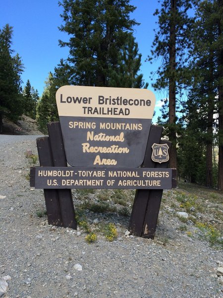 Lower Bristlecone Trailhead.