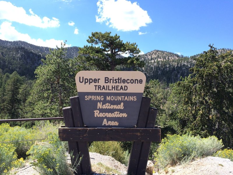 At the Upper Bristlecone Trailhead.