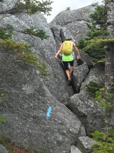 Last scramble to White Rock Mountain summit.