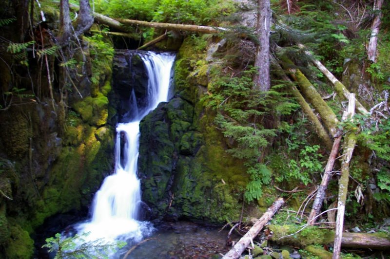 Lost Creek Falls can be seen along a short spur trail off to your left hereon the way up to Burnt Lake.  Photo by Gene Blick.