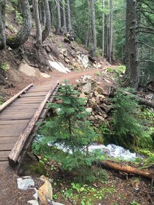 One of the many footbridges on the Glacier Basin Trail.