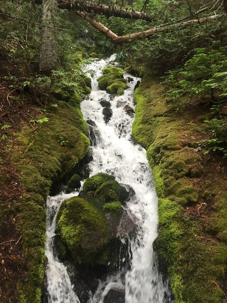 One of the many cascading creeks that flow by (under) the trail.