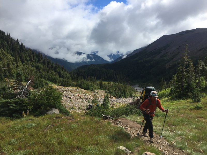 A climber ascends above Glacier Basin towards the Inter Glacier on a primitive climbers trail.