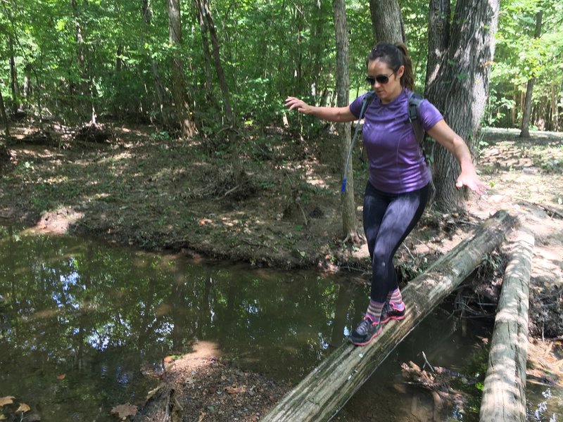 Jessie crossing the creek south of Burns Branch.