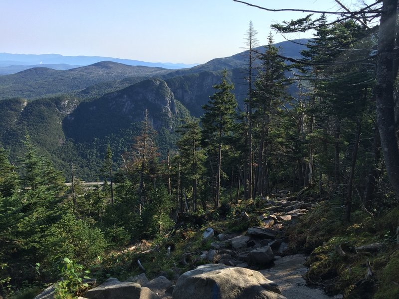 View looking down the trail.