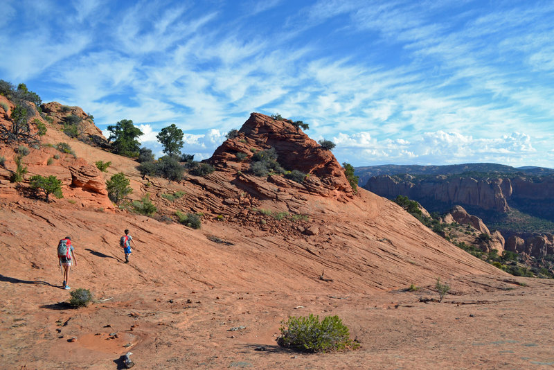 High on Tsegi Point.