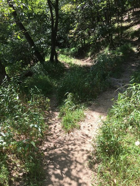 This is the turnaround near Daniels. As you can see, if you aren't paying attention, you'll miss the hairpin turn.