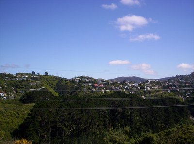 Looking across the valley.