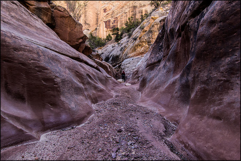 Navigating the Sheets Gulch Trail. with permission from blaaaaaaaaaahh