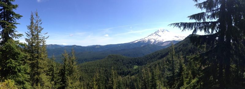 Mt. Hood view from upper Cast Creek Trail.  Photo by Seana Bennett.