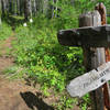 Cast Lake Trail junction with Zigzag Mountain Trail #775.  Photo by Wanderingyuncks.