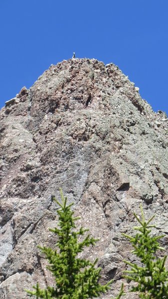 Big horn on the tippy-top of Milwaukee (I think) Peak.