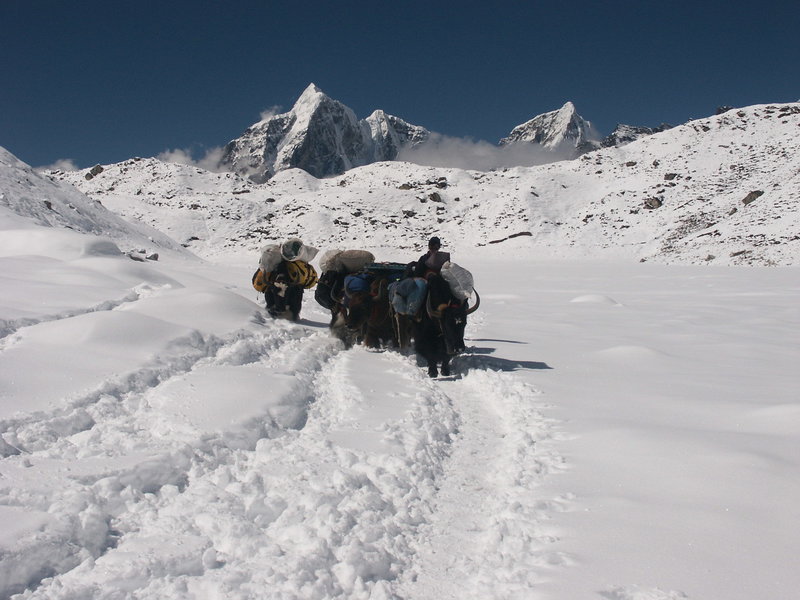 Dingboche