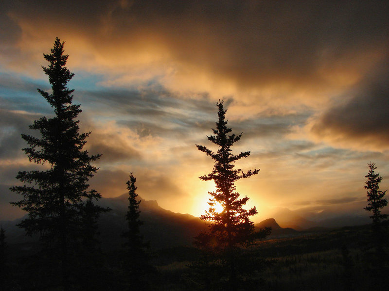 An Alaskan Dawn in Denali National Park. with permission from walkaboutwest *No Commercial Use